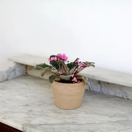 Appartement Nana Mija *