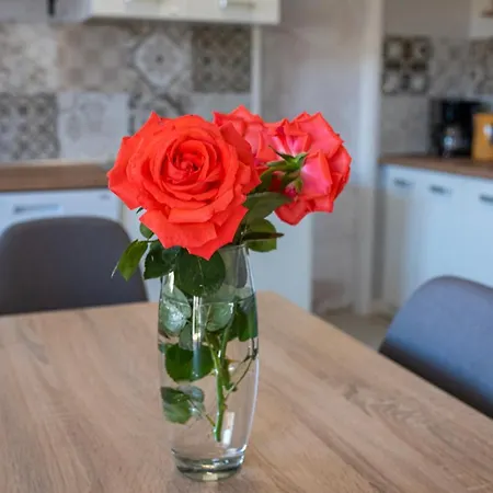 Nana Mija Διαμέρισμα *