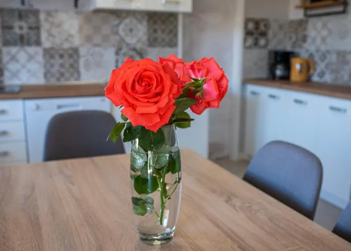 Nana Mija Apartament *